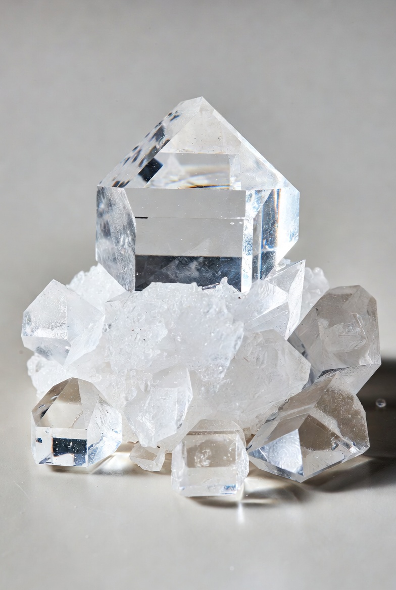 資源・バイオ cover